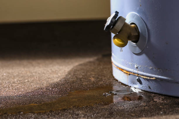 Best Flood restoration services  in Golden Glades, FL