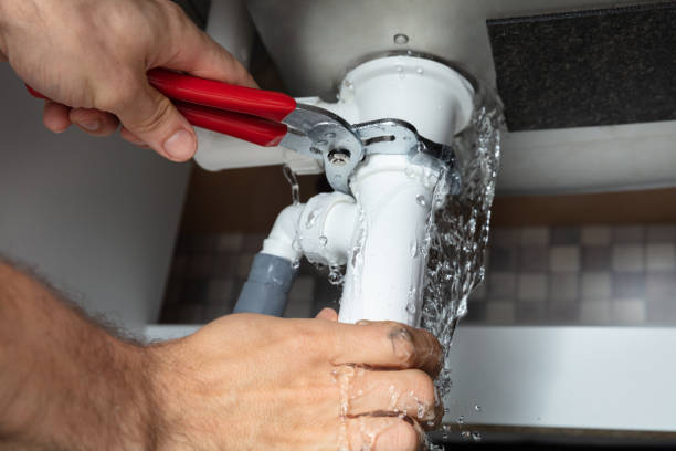 Best Water damage contractors near me  in Golden Glades, FL