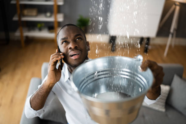 Reliable Golden Glades, FL Water damage restoration Solutions