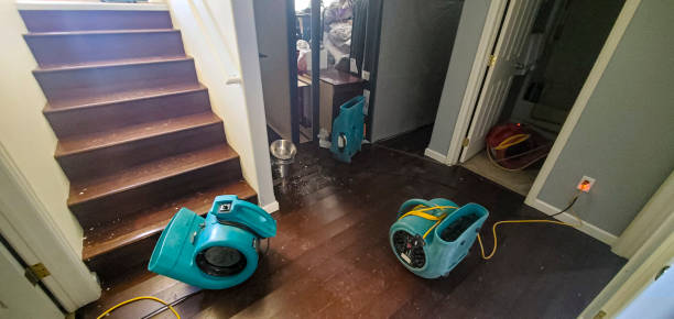 Best Water damage restoration insurance claims  in Golden Glades, FL