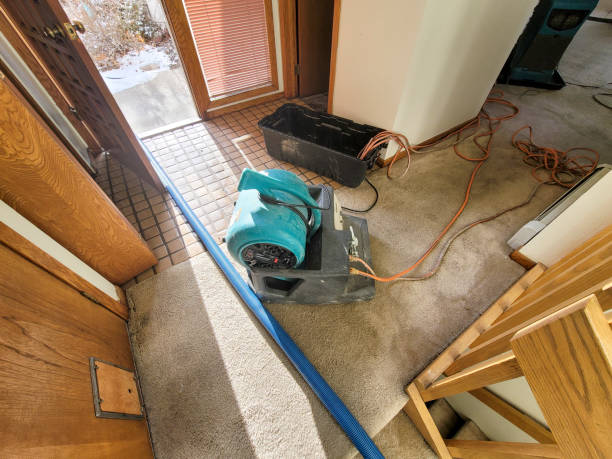 Best Water damage restoration cost  in Golden Glades, FL