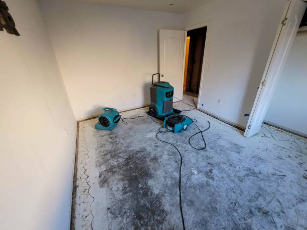 Best Water damage restoration near me  in Golden Glades, FL