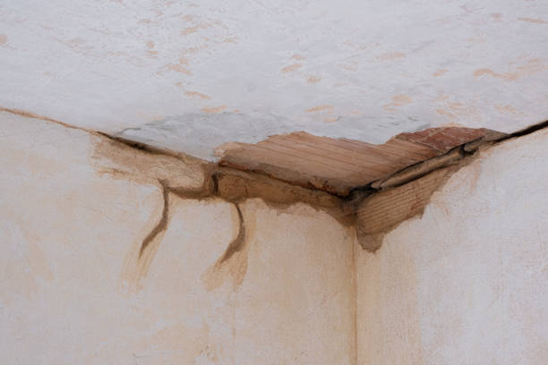 Best Local water damage restoration  in Golden Glades, FL
