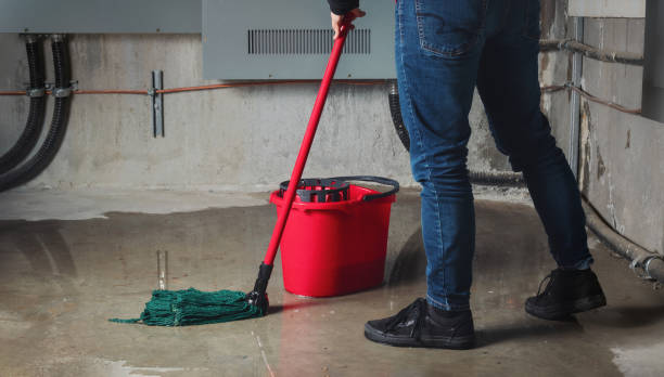 Best Residential water damage restoration  in Golden Glades, FL