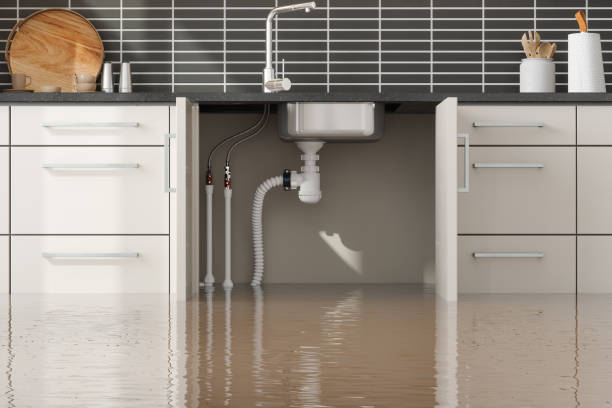 Best Commercial water damage restoration  in Golden Glades, FL