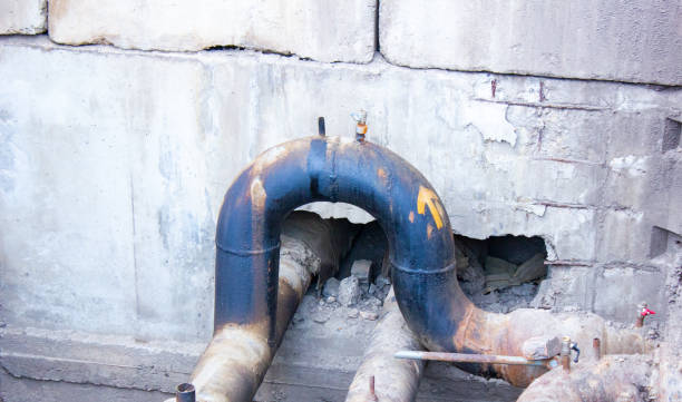 Best Professional water damage repair  in Golden Glades, FL