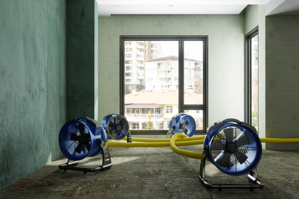 Best Ceiling water damage repair  in Golden Glades, FL